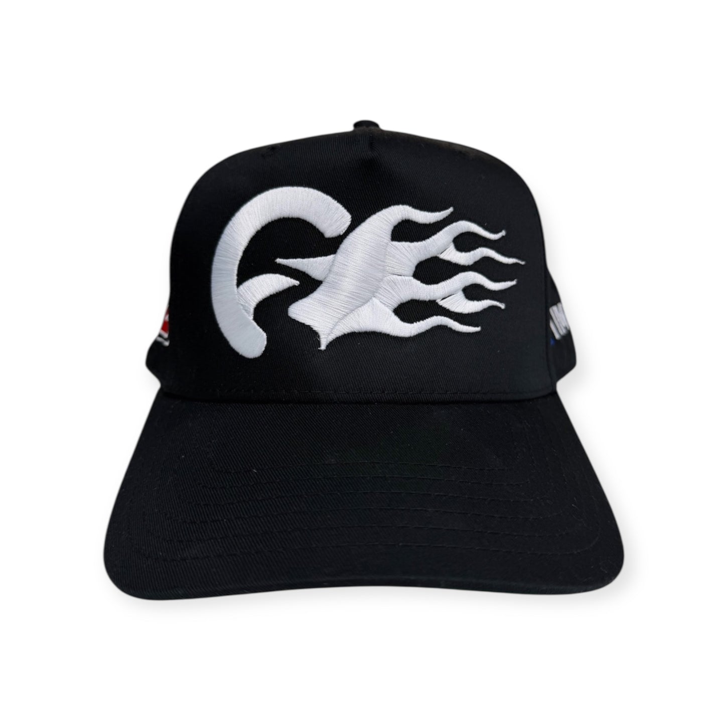 Timothy 2:22 NASCAR HAT